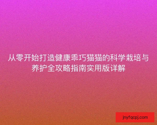 从零开始打造健康乖巧猫猫的科学栽培与养护全攻略指南实用版详解