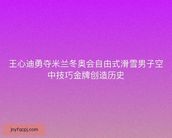 王心迪勇夺米兰冬奥会自由式滑雪男子空中技巧金牌创造历史