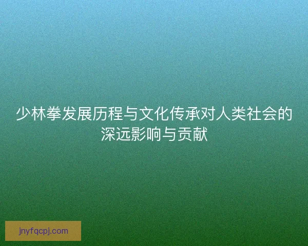 少林拳发展历程与文化传承对人类社会的深远影响与贡献